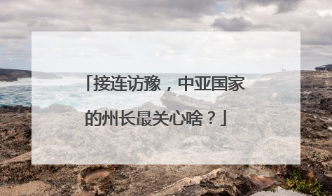 接连访豫，中亚国家的州长最关心啥？