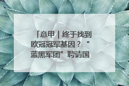 意甲｜终于找到欧冠冠军基因？“蓝黑军团”聘请国米名宿齐沃执教