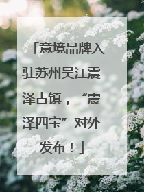 意境品牌入驻苏州吴江震泽古镇，“震泽四宝”对外发布！