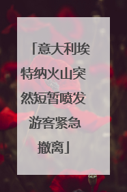 意大利埃特纳火山突然短暂喷发 游客紧急撤离