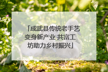成武县传统老手艺变身新产业 共富工坊助力乡村振兴