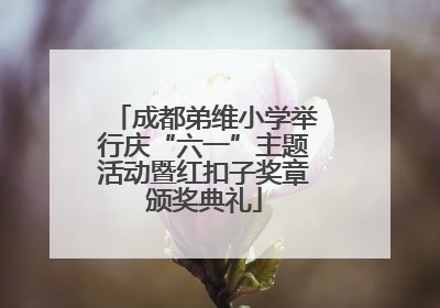 成都弟维小学举行庆“六一”主题活动暨红扣子奖章颁奖典礼