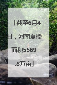 截至6月4日，河南夏播面积5569.8万亩