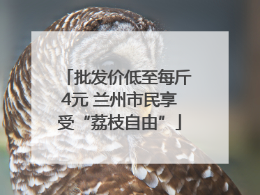 批发价低至每斤4元 兰州市民享受“荔枝自由”