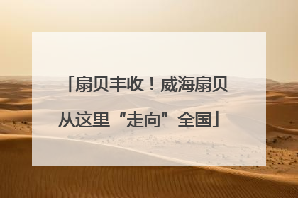 扇贝丰收！威海扇贝从这里“走向”全国