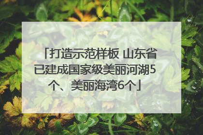 打造示范样板 山东省已建成国家级美丽河湖5个、美丽海湾6个