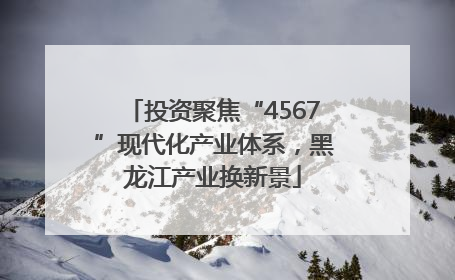 投资聚焦“4567”现代化产业体系，黑龙江产业换新景