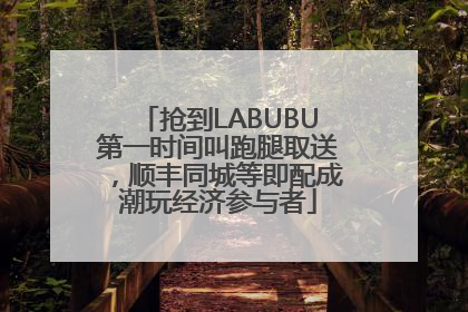 抢到LABUBU第一时间叫跑腿取送，顺丰同城等即配成潮玩经济参与者