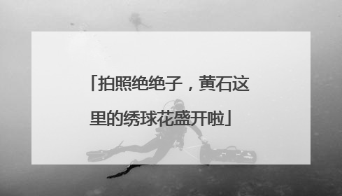 拍照绝绝子，黄石这里的绣球花盛开啦