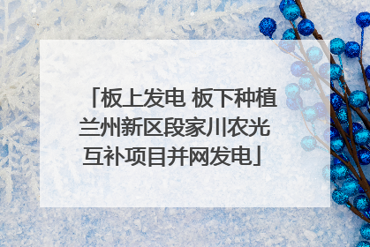 板上发电 板下种植 兰州新区段家川农光互补项目并网发电