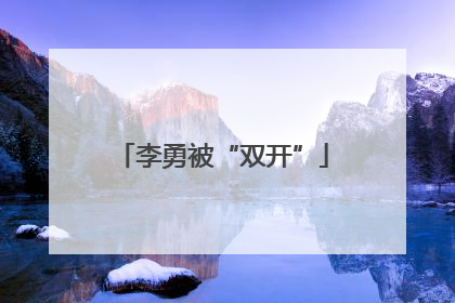 李勇被“双开”