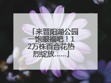 来晋阳湖公园一饱眼福吧！12万株百合花热烈绽放……