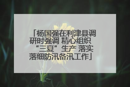 杨国强在利津县调研时强调 精心组织“三夏”生产 落实落细防汛备汛工作