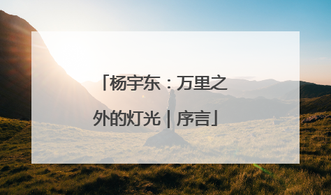 杨宇东：万里之外的灯光｜序言