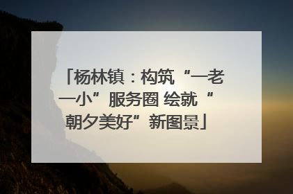 杨林镇：构筑“一老一小”服务圈 绘就“朝夕美好”新图景