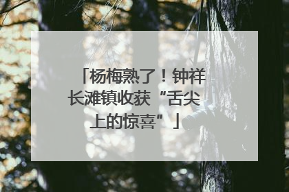 杨梅熟了！钟祥长滩镇收获“舌尖上的惊喜”