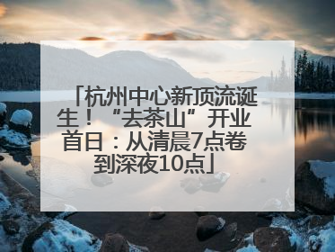 杭州中心新顶流诞生！“去茶山”开业首日：从清晨7点卷到深夜10点