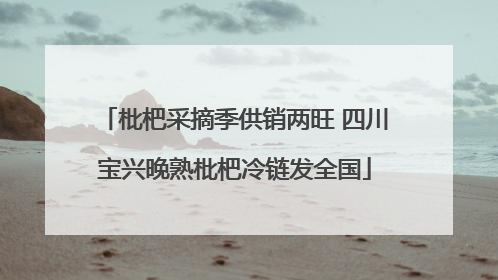 枇杷采摘季供销两旺 四川宝兴晚熟枇杷冷链发全国