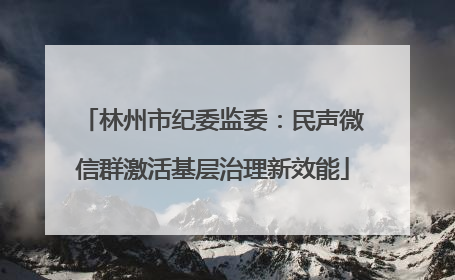林州市纪委监委：民声微信群激活基层治理新效能