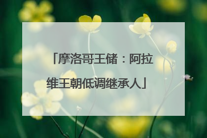 摩洛哥王储：阿拉维王朝低调继承人