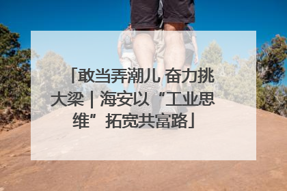 敢当弄潮儿 奋力挑大梁｜海安以“工业思维”拓宽共富路