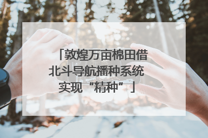 敦煌万亩棉田借北斗导航播种系统实现“精种”
