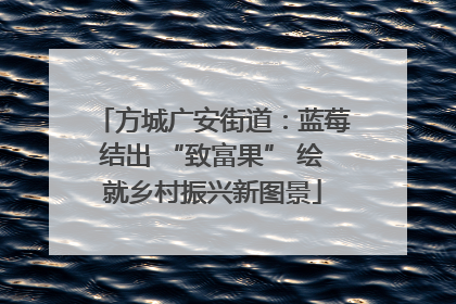 方城广安街道：蓝莓结出 “致富果” 绘就乡村振兴新图景