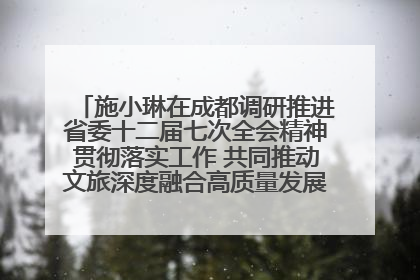 施小琳在成都调研推进省委十二届七次全会精神贯彻落实工作 共同推动文旅深度融合高质量发展 加快打造支柱产业民生产业幸福产业