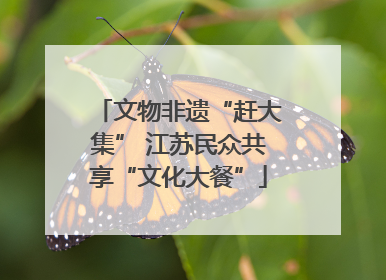 文物非遗“赶大集” 江苏民众共享“文化大餐”