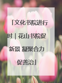 文化书院进行时｜花山书院促新景 凝聚合力促善治
