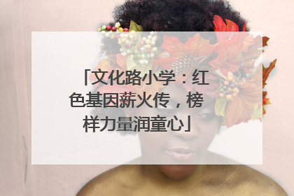 文化路小学：红色基因薪火传，榜样力量润童心