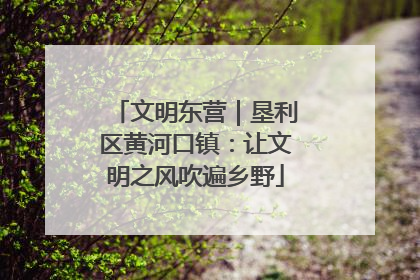 文明东营｜垦利区黄河口镇：让文明之风吹遍乡野