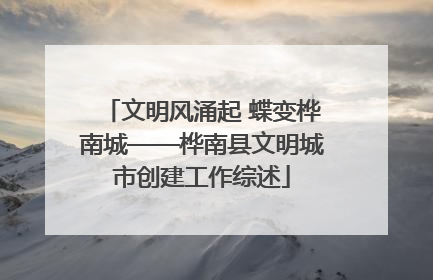 文明风涌起 蝶变桦南城——桦南县文明城市创建工作综述