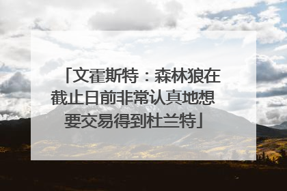 文霍斯特：森林狼在截止日前非常认真地想要交易得到杜兰特