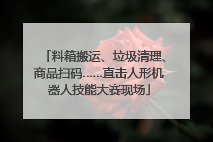 料箱搬运、垃圾清理、商品扫码……直击人形机器人技能大赛现场