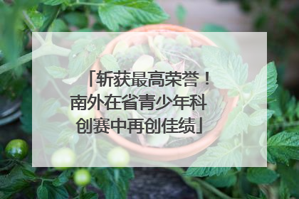 斩获最高荣誉！南外在省青少年科创赛中再创佳绩