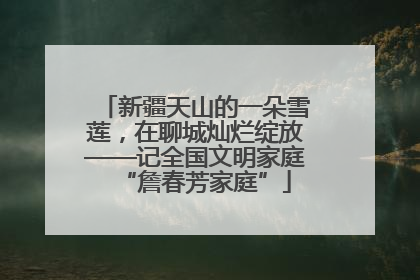 新疆天山的一朵雪莲，在聊城灿烂绽放——记全国文明家庭“詹春芳家庭”