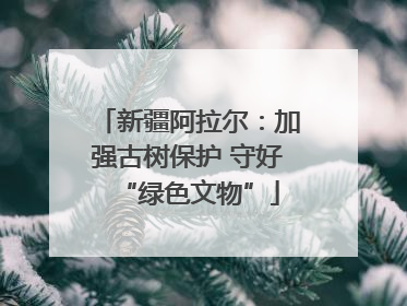 新疆阿拉尔：加强古树保护 守好“绿色文物”