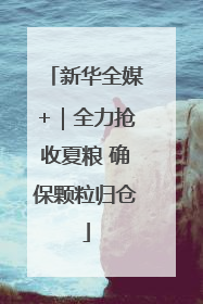 新华全媒+｜全力抢收夏粮 确保颗粒归仓