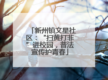 新州镇文星社区：“扫黄打非”进校园，普法宣传护青春