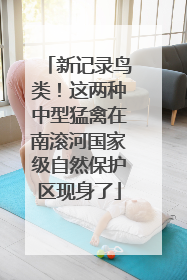 新记录鸟类！这两种中型猛禽在南滚河国家级自然保护区现身了