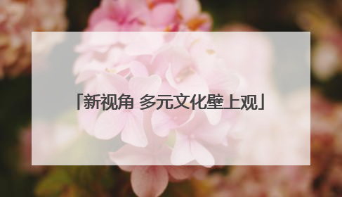 新视角 多元文化壁上观
