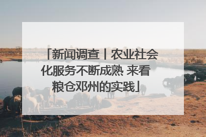 新闻调查丨农业社会化服务不断成熟 来看粮仓邓州的实践