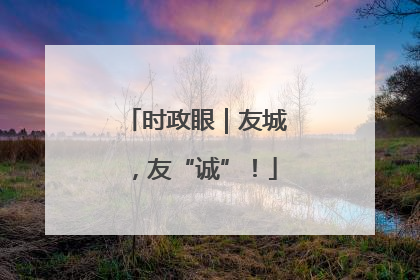 时政眼｜友城，友“诚”！