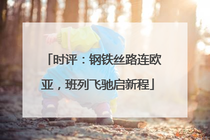 时评：钢铁丝路连欧亚，班列飞驰启新程