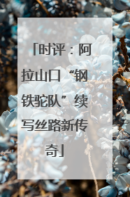 时评：阿拉山口“钢铁驼队”续写丝路新传奇