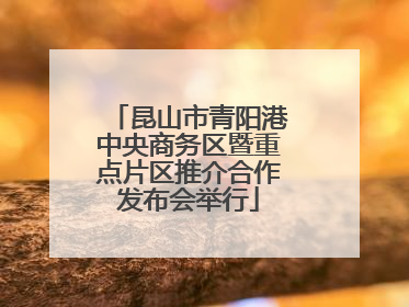 昆山市青阳港中央商务区暨重点片区推介合作发布会举行