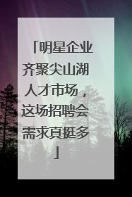明星企业齐聚尖山湖人才市场，这场招聘会需求真挺多