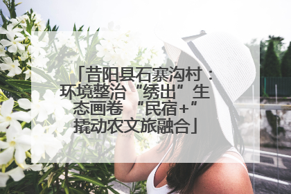 昔阳县石寨沟村：环境整治“绣出”生态画卷 “民宿+”撬动农文旅融合
