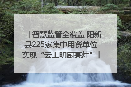 智慧监管全覆盖 阳新县225家集中用餐单位实现“云上明厨亮灶”